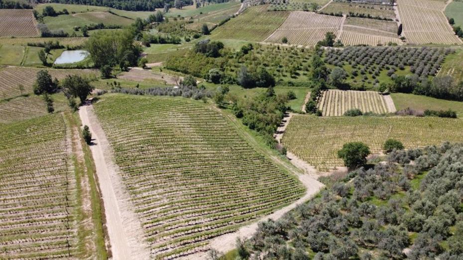 Poggio Al Sole Appartement Montespertoli Buitenkant foto